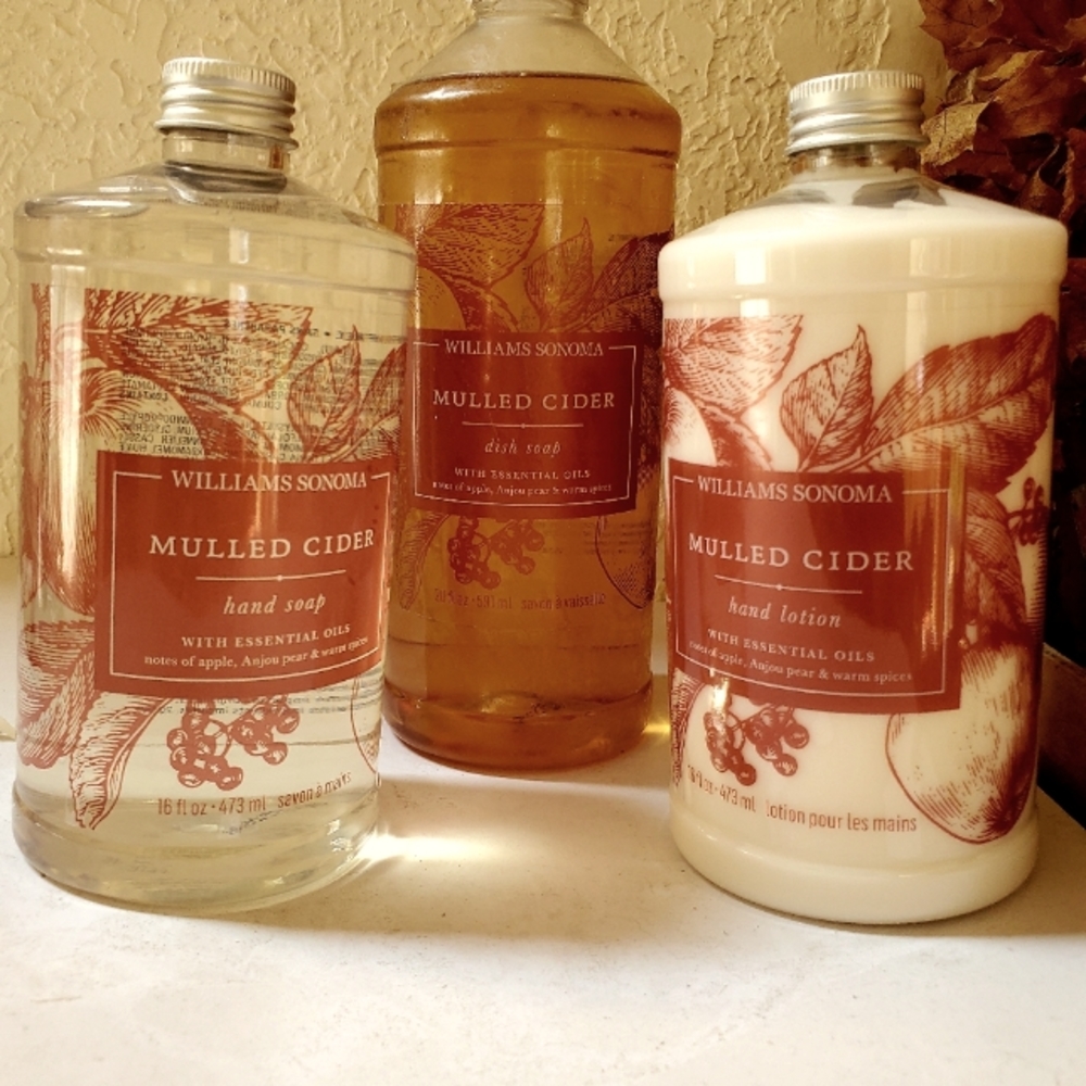 Williams Sonoma Mullied Cider